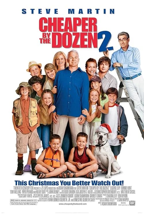 Cheaper by the Dozen 2 film posteri