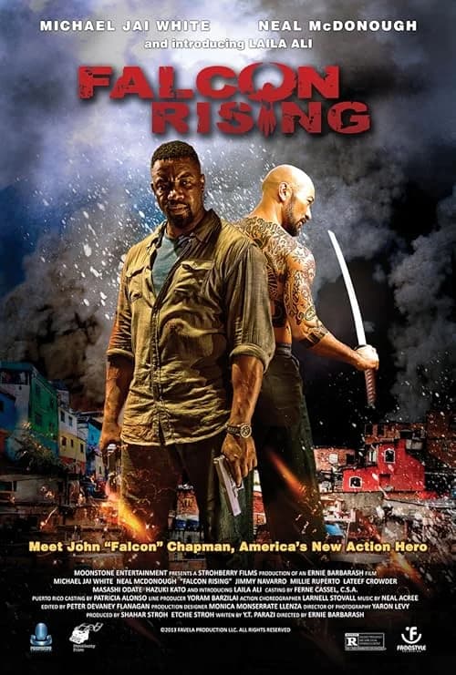 Falcon Rising film posteri
